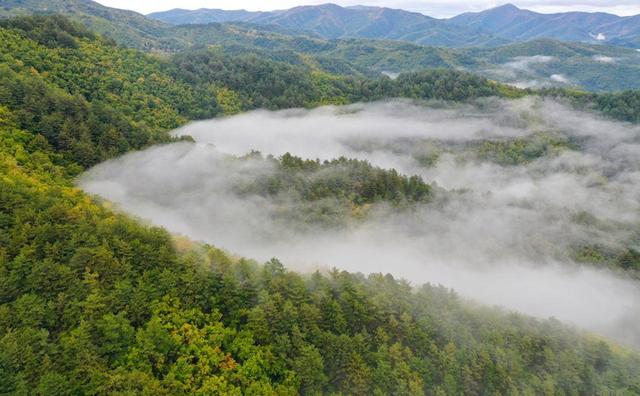 吉林省全民义务植树40年绘就绿水青山-图片1