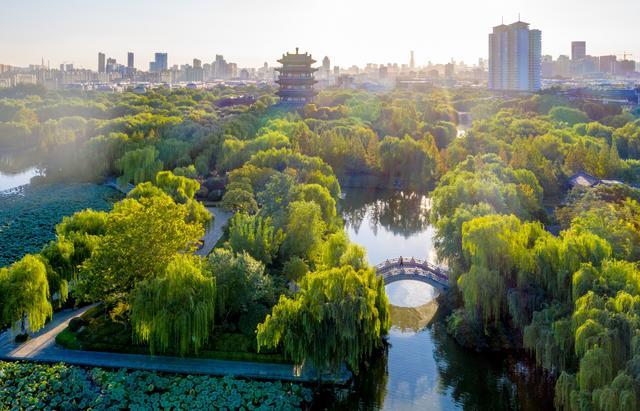 趵突腾空、明湖泛舟，有一种美，叫济南的秋天！-图片27