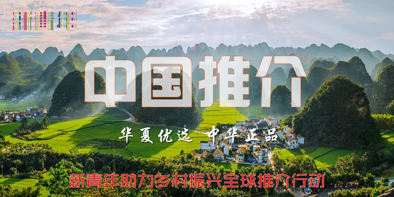 中国推介