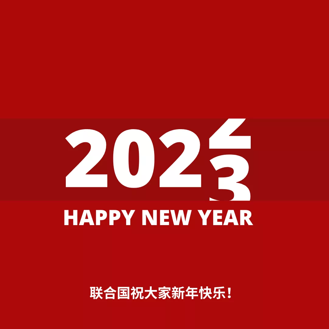 联合国网合集团安芝总裁新年致辞！