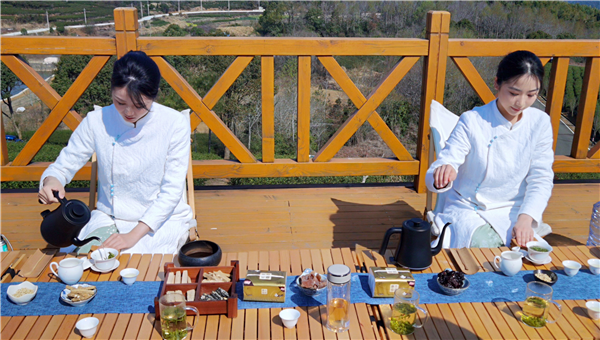 春风又绿天台山，邀你去浙江宁海桑洲镇品茶赏花-图片7