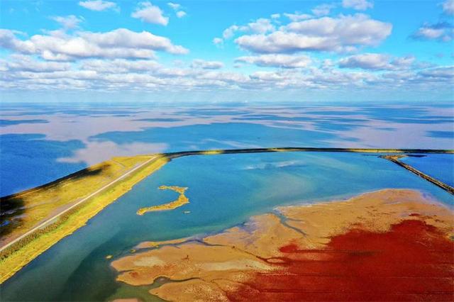 走进盐城黄海湿地，体验生物多样性之美-图片5