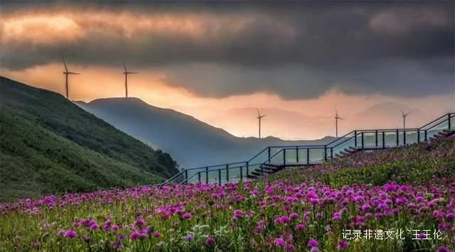 寻美毕节：韭菜花开，紫色梦境的浪漫邀约-图片10