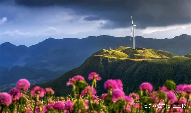 寻美毕节：韭菜花开，紫色梦境的浪漫邀约-图片13