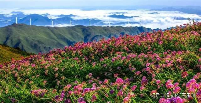 寻美毕节：韭菜花开，紫色梦境的浪漫邀约-图片17