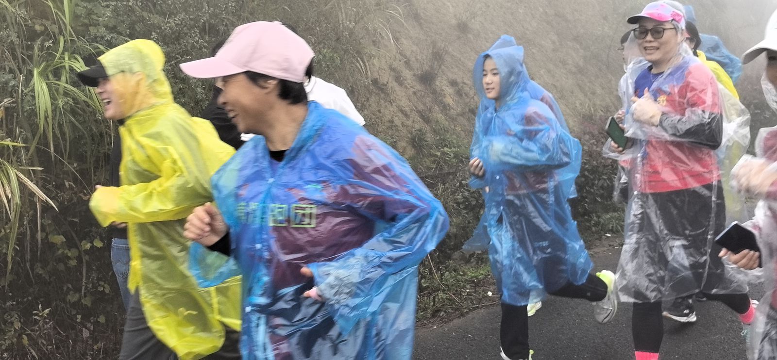 宁波杨山村旅游节启航 生态红茶绽放光彩