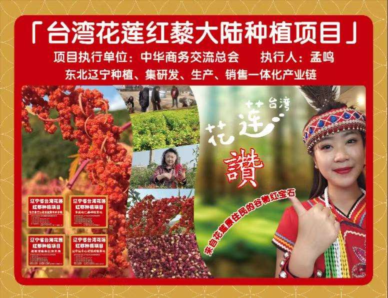 从台湾原住民“生命粮”到粤北试验田的“跨界之旅”-图片1