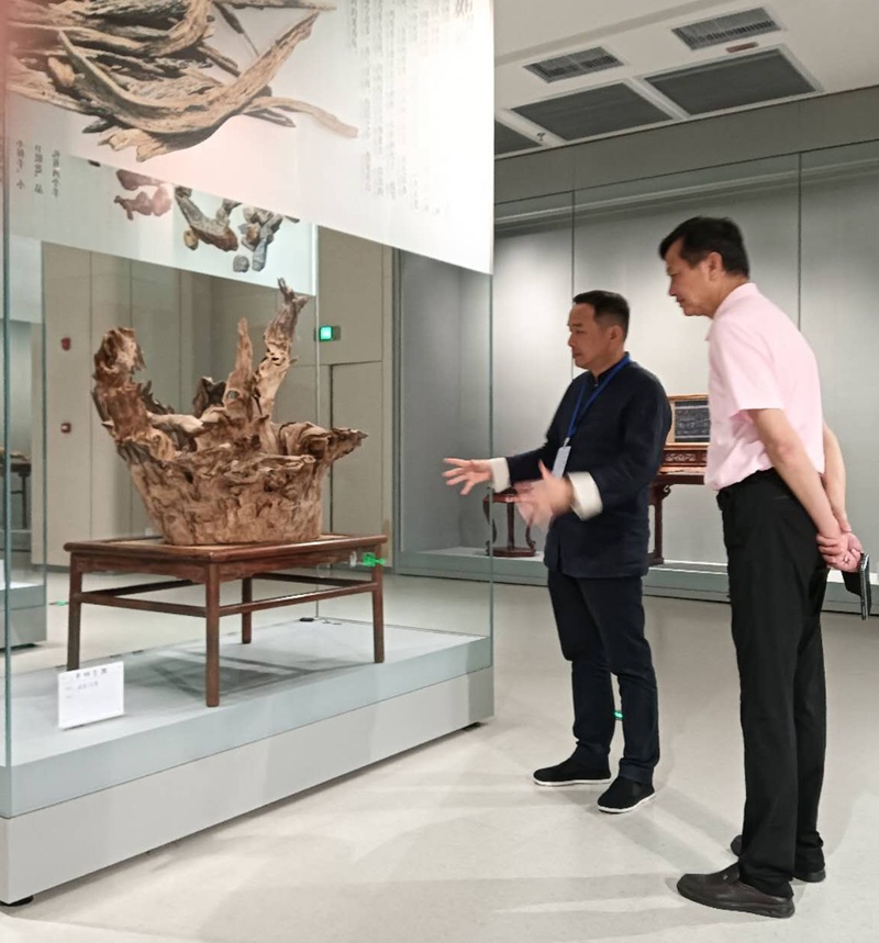 “崖香雅事”——海南沉香结香制香技艺主题展在海口隆重开展-图片3