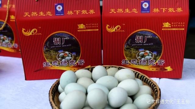 党建引领“金蛋”铺就致富路 水城铜厂村林下养殖激活乡村振兴-图片5