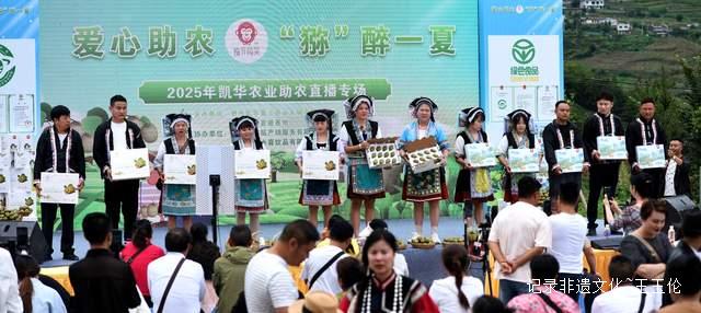贵州六盘水米箩镇4万亩红心猕猴桃迎丰收,小果实成乡村振兴“摇钱树”