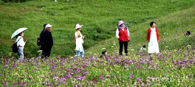 贵州小众秘境：登顶韭菜坪邂逅云海与花海的绝美相遇-图片6