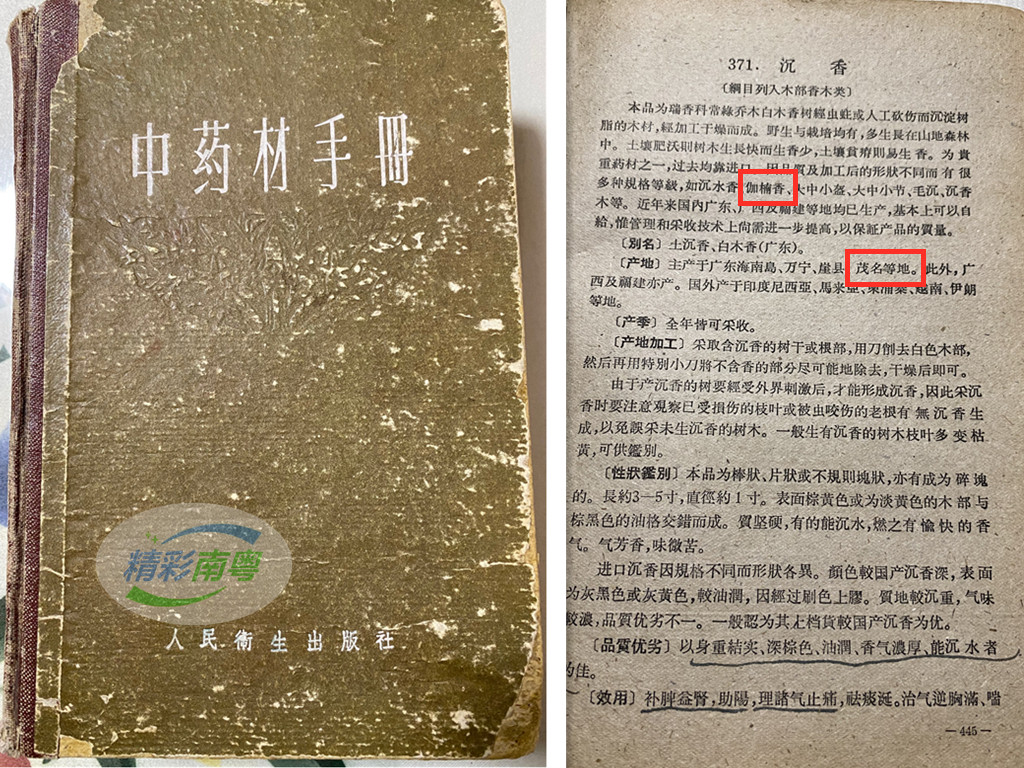 薪火相传文化根脉，汪科元获传承“沉香中药文化”非遗荣誉-图片2