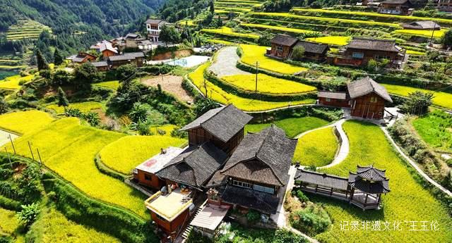 贵州雷山白岩村：金色梯田迎丰收 层层叠叠入画来-图片1