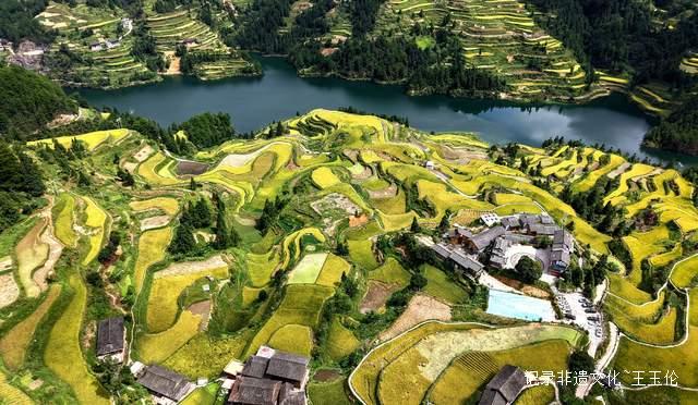 贵州雷山白岩村：金色梯田迎丰收 层层叠叠入画来-图片3