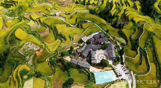 贵州雷山白岩村：金色梯田迎丰收 层层叠叠入画来-图片4