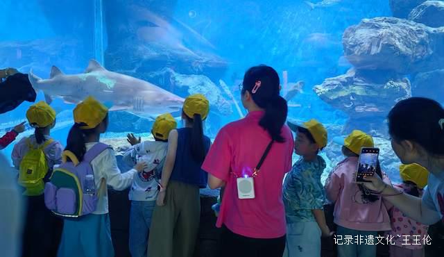 国庆中秋！多彩贵州城惊现“海洋霸主”，带你探秘深海传奇