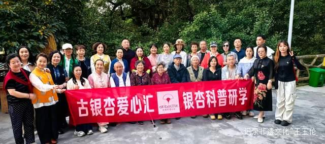 银杏科普+中秋民俗 贵阳石龙村打造双节特色活动-图片1