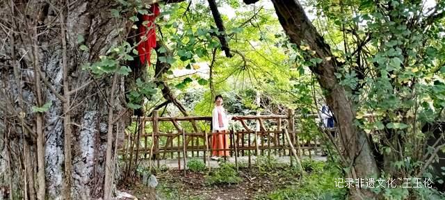 银杏科普+中秋民俗 贵阳石龙村打造双节特色活动-图片2