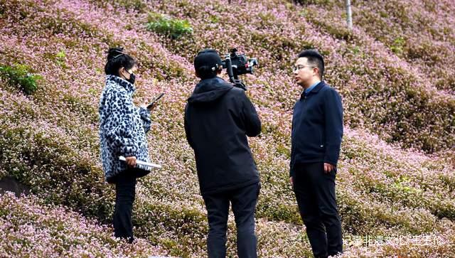 六盘水水城区新街乡红花蓼小药材荒地上开出致富花