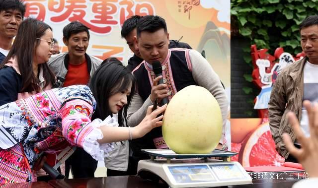 六盘水水城区新街乡1000亩红心柚迎丰收柚子节上话甜蜜-图片4