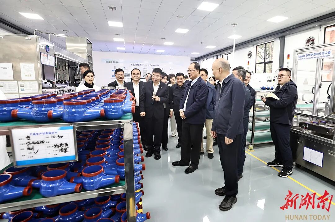 湖南:毛伟明在衡阳调研-图片2