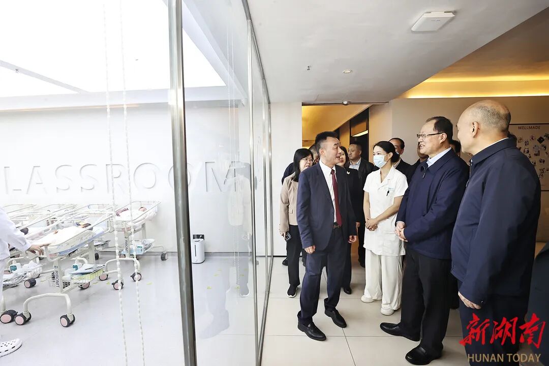 湖南:毛伟明在衡阳调研-图片4