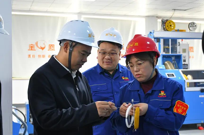 湖南:衡阳高新区主任宋光鑫赴湖南华菱线缆考察调研-图片1