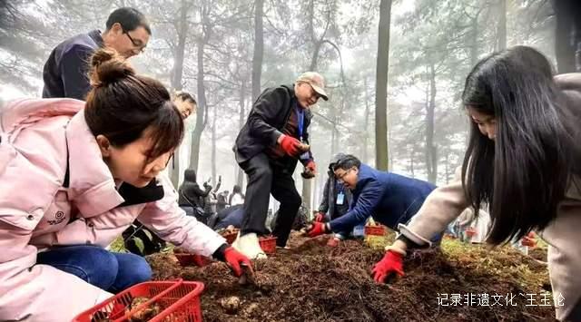 赫章“夜郎神草”天麻产业书写乡村振兴新篇章