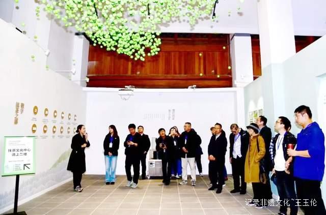 海外华媒走进铜仁 解码“中国抹茶之都”绿色崛起