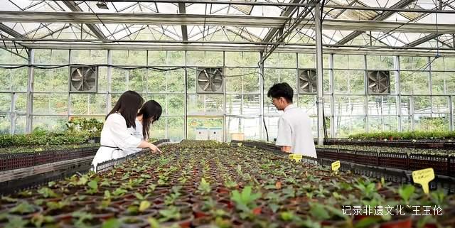 山海之间:一个游子眼中的百里杜鹃转型之路-图片5