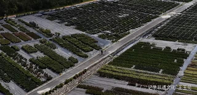 山海之间:一个游子眼中的百里杜鹃转型之路-图片6