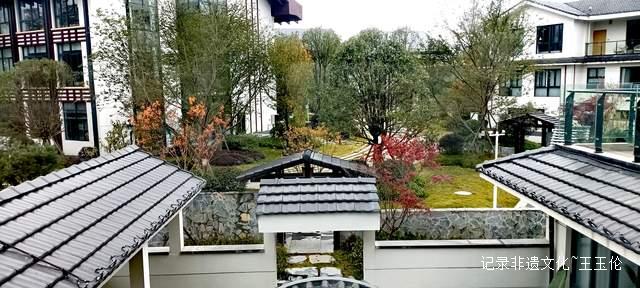 山海之间:一个游子眼中的百里杜鹃转型之路-图片8