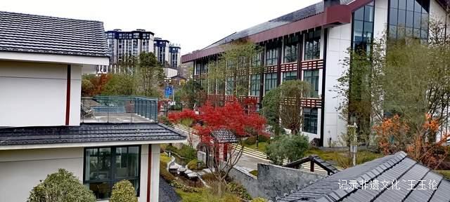 山海之间:一个游子眼中的百里杜鹃转型之路-图片14