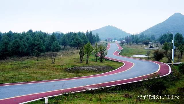 百里杜鹃管理区：以“四好农村路”为笔 绘就乡村振兴交通新图景-图片3