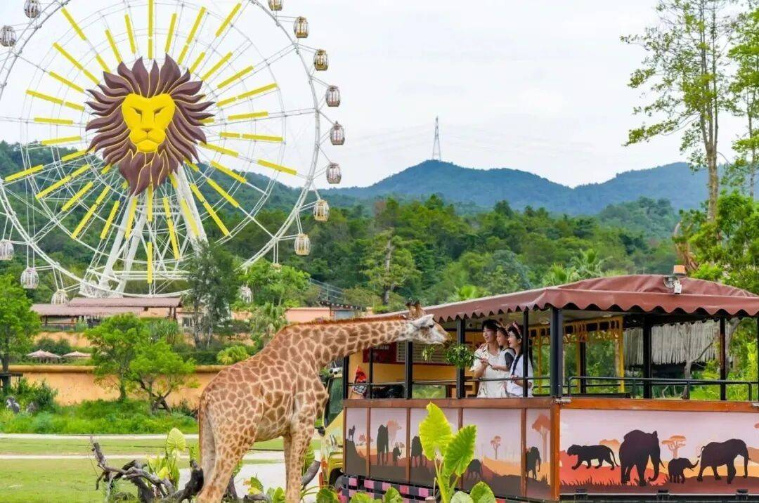 来清远需要几个理由？一个就够了！-图片15