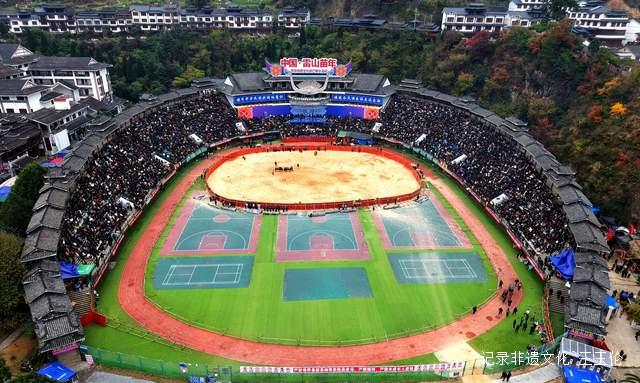 2025雷山苗年斗牛大赛点燃节日激情吸引各方来客齐聚狂欢