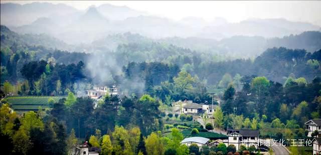 茶香漫道是长征——记“龙泉剑茗”之父刘长征-图片4