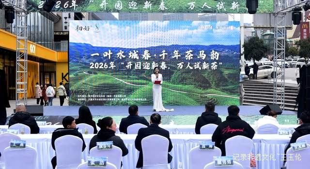 六盘水水城区“一叶水城春·千年茶马韵”2026年“早春第一采”品鉴活动启幕   ——茶香引客来，文化赋新能，助力乡村振兴