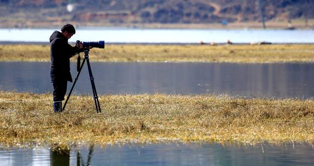 飞羽黔行探秘草海，鹤舞高原共话保护   ——贵州威宁举办草海观鸟竞赛暨黑颈鹤保护主题交流活动-图片6