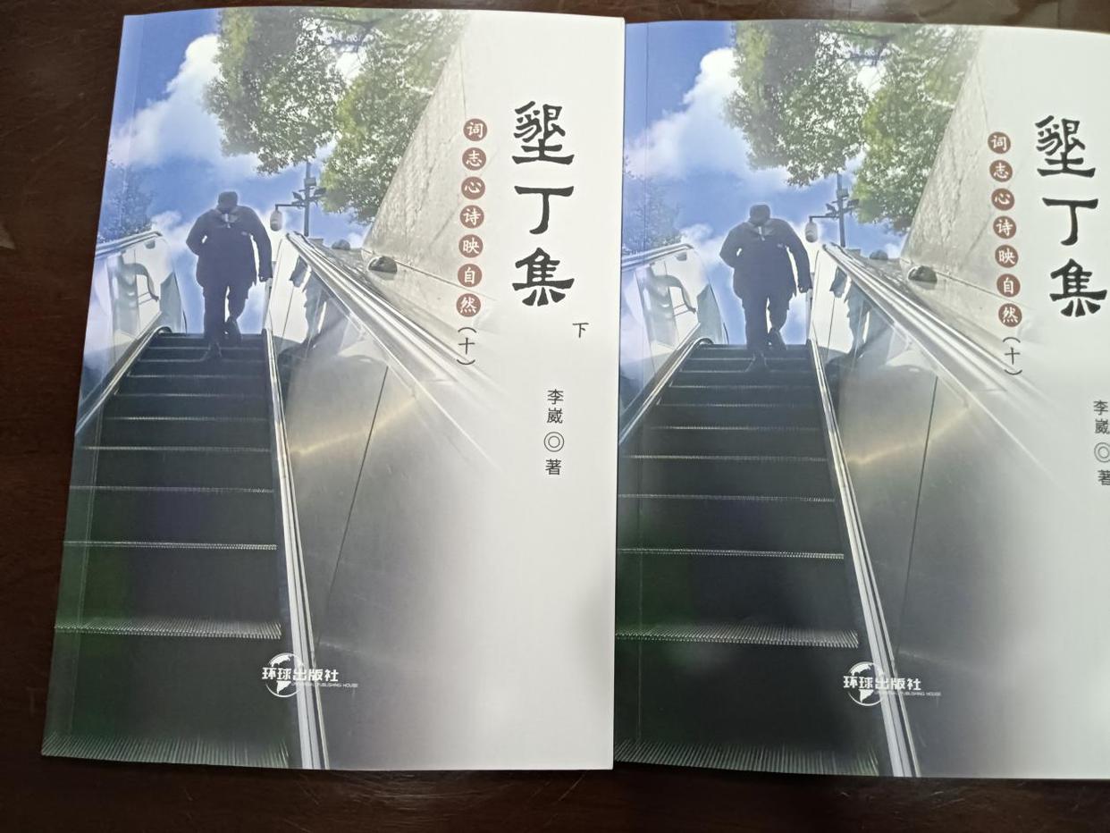 「侨乡文化」李崴诗词集《垦丁集(十)》出版-图片1