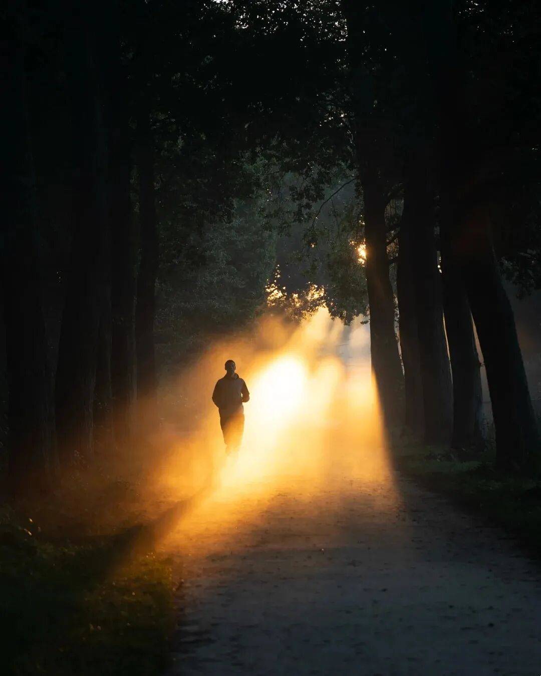 向光而行，那是人类最初的模样