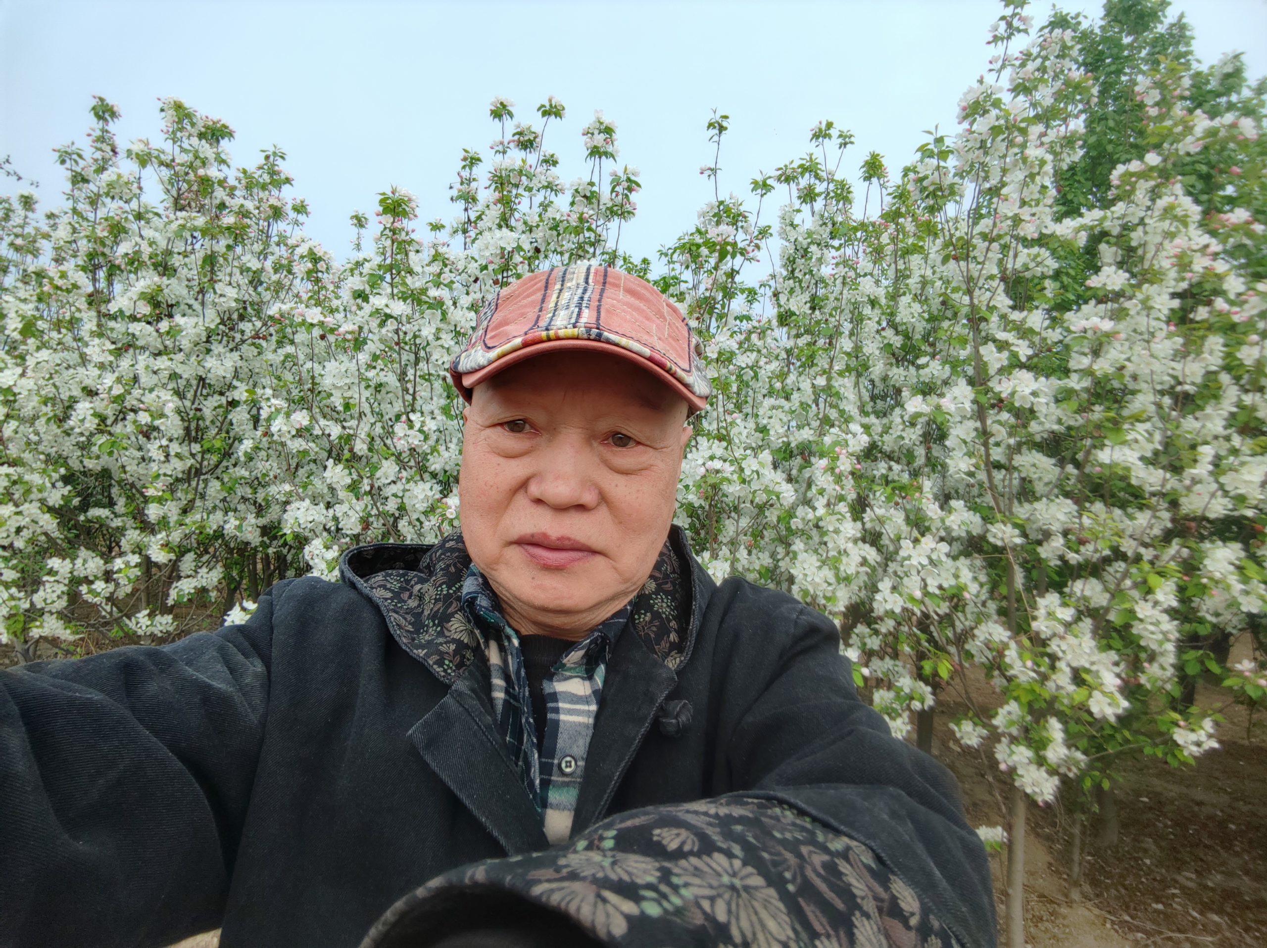 德艺双馨写丹青 金鸡鸣世传大爱——记当代实力派艺术家山湘子-图片1